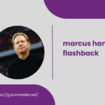 marcus hamberg flashback