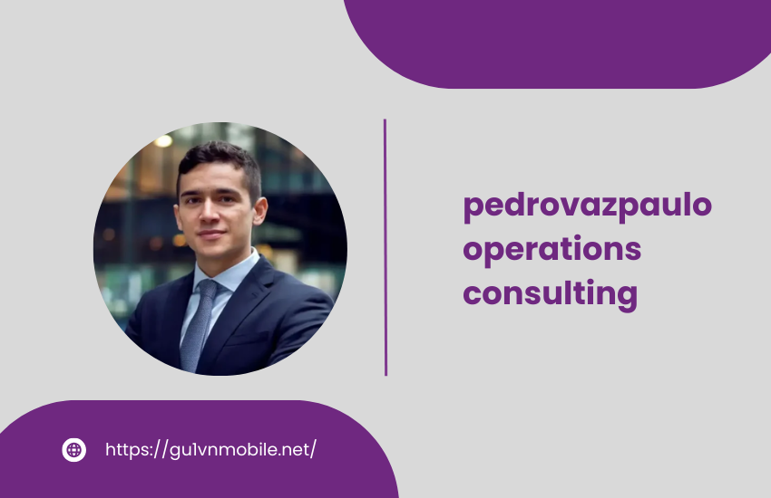 pedrovazpaulo operations consulting